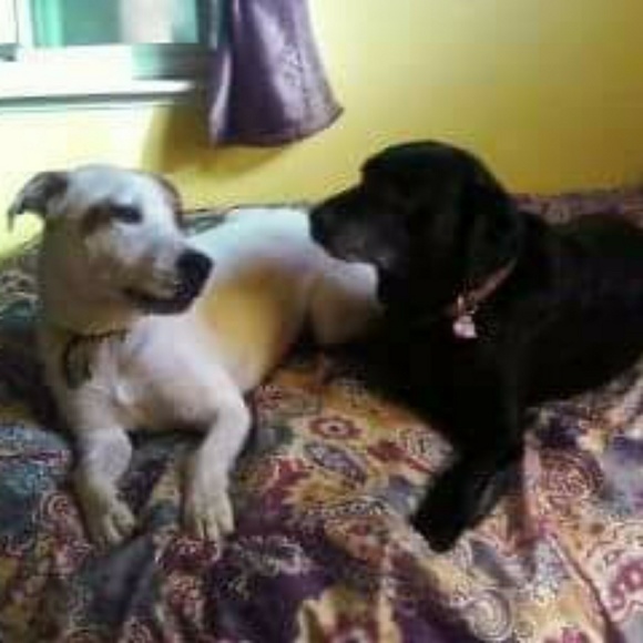 Meet your Posher, Retta - Picture 3 of 5